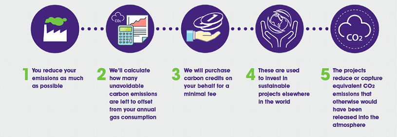 informatic diagram detailing the steps involved in offsetting carbon
