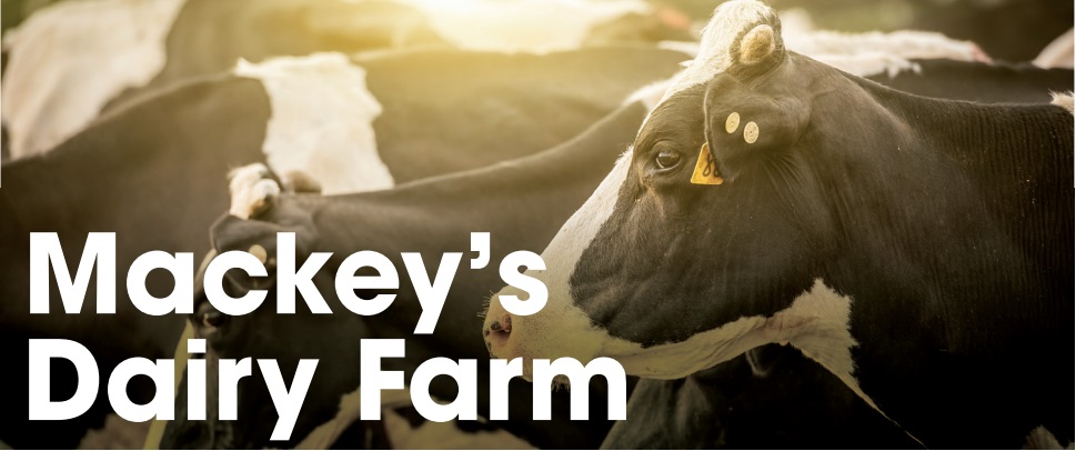 Mackey's Dairy Farm