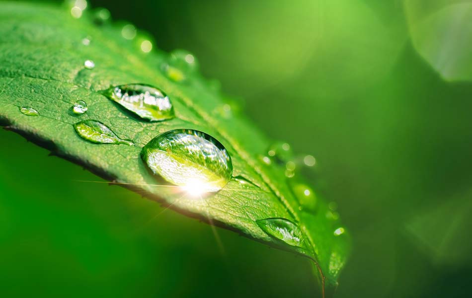 Carbon Offsetting and Flogas