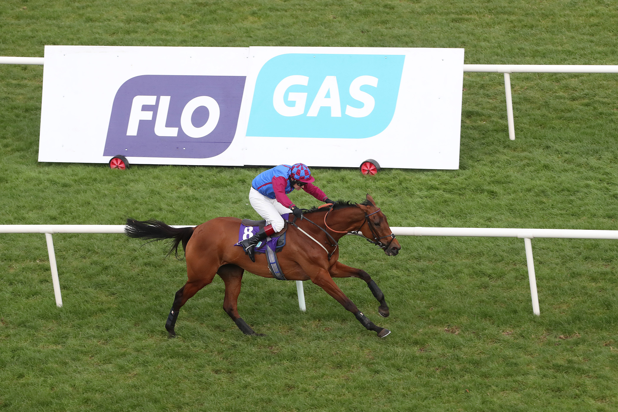 La Bague Au Roi, ridden by Richard Johnson OBE, galloping towards the winning post in the 2019 Flogas Novice Chase.